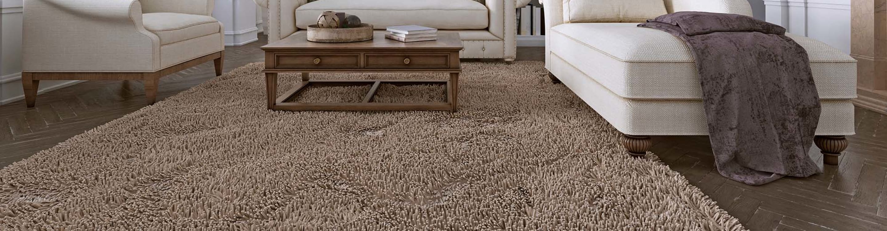 area rug