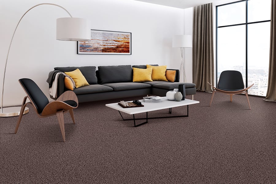 carpet