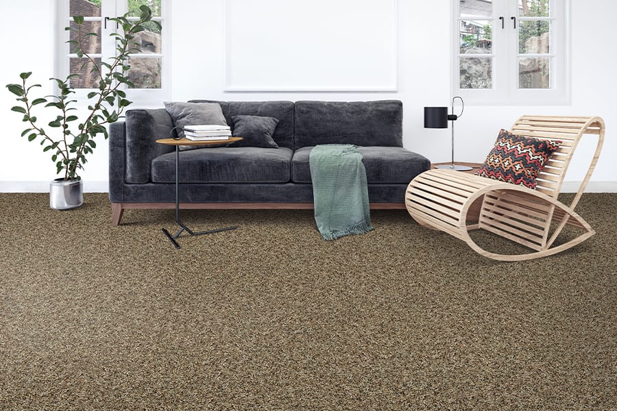 carpet